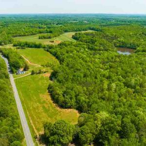 Photo #60 of 10281 Cherry Grove, Reidsville, NC 217.5 acres