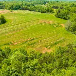 Photo #61 of 10281 Cherry Grove, Reidsville, NC 217.5 acres