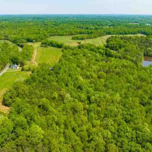 Photo #63 of 10281 Cherry Grove, Reidsville, NC 217.5 acres