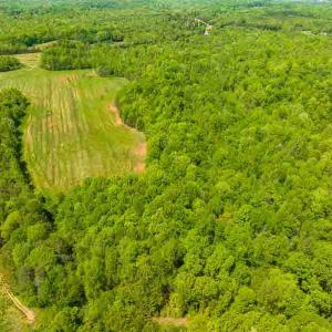 Photo #65 of 10281 Cherry Grove, Reidsville, NC 217.5 acres