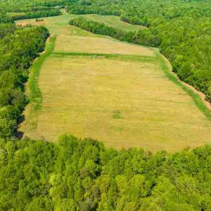 Photo #66 of 10281 Cherry Grove, Reidsville, NC 217.5 acres