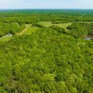 Photo #67 of 10281 Cherry Grove, Reidsville, NC 217.5 acres