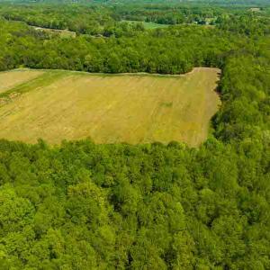 Photo #69 of 10281 Cherry Grove, Reidsville, NC 217.5 acres