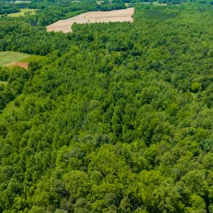 Photo #6 of SOLD property in Off Walnut Grove Church Rd, Hillsborough, NC 16.2 acres
