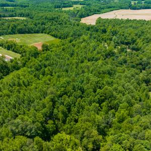 Photo #8 of SOLD property in Off Walnut Grove Church Rd, Hillsborough, NC 16.2 acres