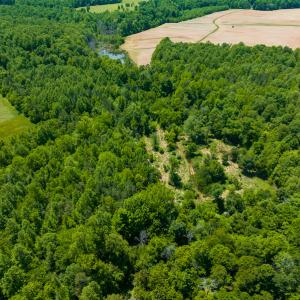 Photo #10 of SOLD property in Off Walnut Grove Church Rd, Hillsborough, NC 16.2 acres