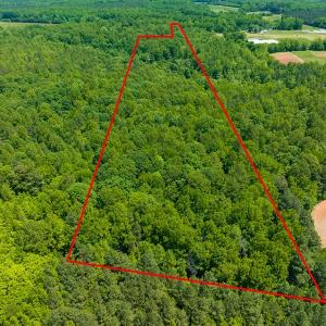 Photo #11 of SOLD property in Off Walnut Grove Church Rd, Hillsborough, NC 16.2 acres