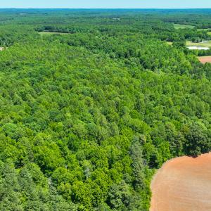 Photo #13 of SOLD property in Off Walnut Grove Church Rd, Hillsborough, NC 16.2 acres