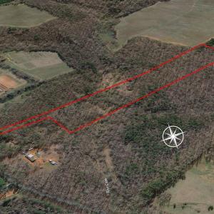 Photo #14 of SOLD property in Off Walnut Grove Church Rd, Hillsborough, NC 16.2 acres