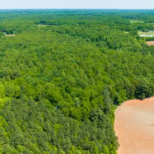 Photo #15 of SOLD property in Off Walnut Grove Church Rd, Hillsborough, NC 16.2 acres