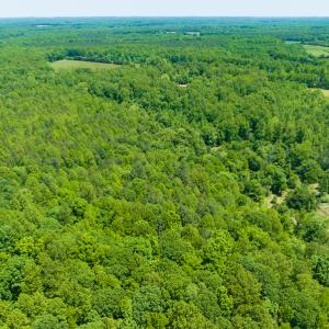 Photo #17 of SOLD property in Off Walnut Grove Church Rd, Hillsborough, NC 16.2 acres