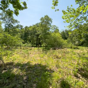 Photo #21 of SOLD property in Off Walnut Grove Church Rd, Hillsborough, NC 16.2 acres