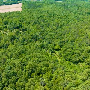 Photo #24 of SOLD property in Off Walnut Grove Church Rd, Hillsborough, NC 16.2 acres
