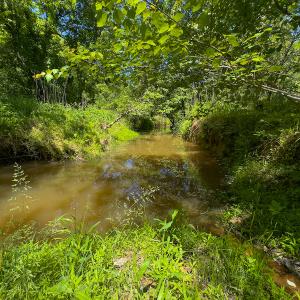 Photo #25 of SOLD property in Off Walnut Grove Church Rd, Hillsborough, NC 16.2 acres