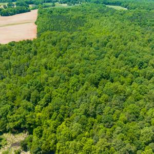 Photo #26 of SOLD property in Off Walnut Grove Church Rd, Hillsborough, NC 16.2 acres