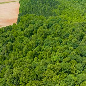 Photo #28 of SOLD property in Off Walnut Grove Church Rd, Hillsborough, NC 16.2 acres