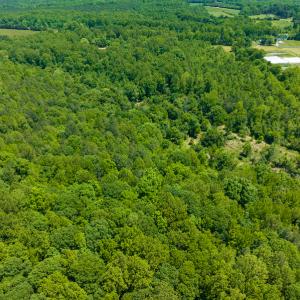 Photo #29 of SOLD property in Off Walnut Grove Church Rd, Hillsborough, NC 16.2 acres