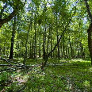 Photo #30 of SOLD property in Off Walnut Grove Church Rd, Hillsborough, NC 16.2 acres