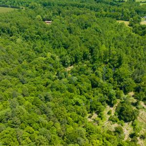 Photo #31 of SOLD property in Off Walnut Grove Church Rd, Hillsborough, NC 16.2 acres