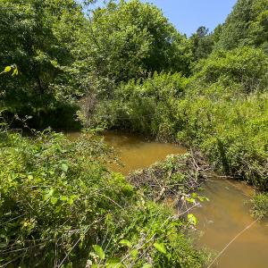 Photo #34 of SOLD property in Off Walnut Grove Church Rd, Hillsborough, NC 16.2 acres