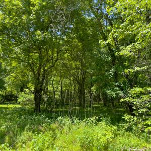 Photo #36 of SOLD property in Off Walnut Grove Church Rd, Hillsborough, NC 16.2 acres