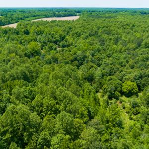 Photo #37 of SOLD property in Off Walnut Grove Church Rd, Hillsborough, NC 16.2 acres