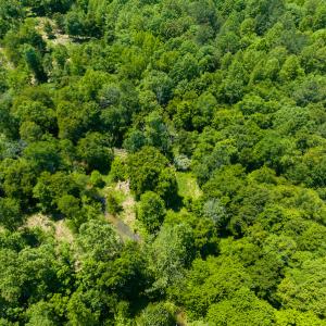 Photo #38 of SOLD property in Off Walnut Grove Church Rd, Hillsborough, NC 16.2 acres