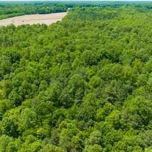 Photo #39 of SOLD property in Off Walnut Grove Church Rd, Hillsborough, NC 16.2 acres