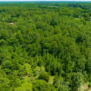 Photo #40 of SOLD property in Off Walnut Grove Church Rd, Hillsborough, NC 16.2 acres