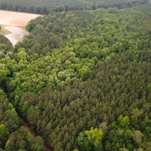 Photo #2 of SOLD property in Off Asbin Rd, Emporia, VA 15.6 acres
