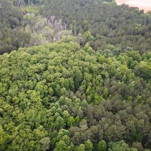 Photo #3 of SOLD property in Off Asbin Rd, Emporia, VA 15.6 acres