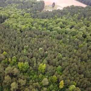 Photo #4 of SOLD property in Off Asbin Rd, Emporia, VA 15.6 acres