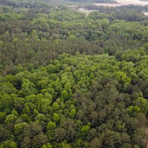 Photo #5 of SOLD property in Off Asbin Rd, Emporia, VA 15.6 acres