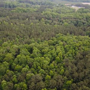 Photo #6 of SOLD property in Off Asbin Rd, Emporia, VA 15.6 acres