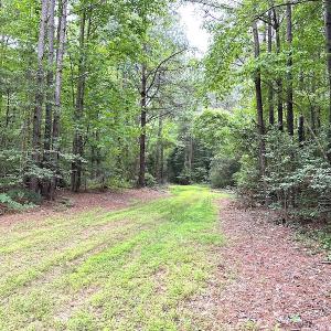 Photo #7 of SOLD property in Off Asbin Rd, Emporia, VA 15.6 acres