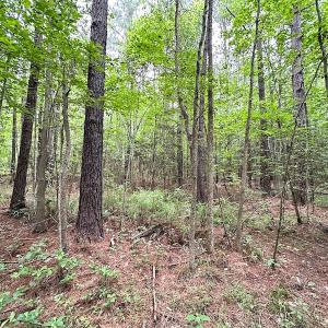 Photo #10 of SOLD property in Off Asbin Rd, Emporia, VA 15.6 acres