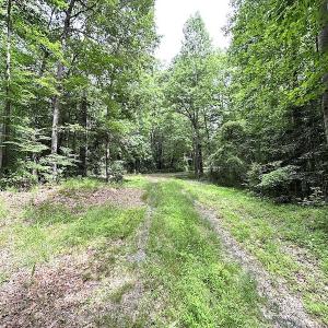 Photo #13 of SOLD property in Off Asbin Rd, Emporia, VA 15.6 acres