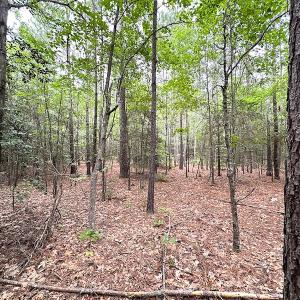 Photo #19 of SOLD property in Off Asbin Rd, Emporia, VA 15.6 acres