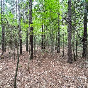 Photo #21 of SOLD property in Off Asbin Rd, Emporia, VA 15.6 acres