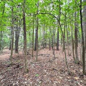 Photo #24 of SOLD property in Off Asbin Rd, Emporia, VA 15.6 acres