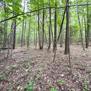 Photo #30 of SOLD property in Off Asbin Rd, Emporia, VA 15.6 acres