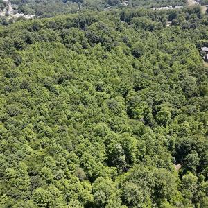 Photo #10 of SOLD property in Off Daniels Creek Rd, Collinsville, VA 104.4 acres