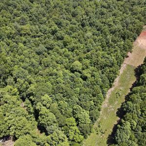 Photo #13 of SOLD property in Off Daniels Creek Rd, Collinsville, VA 104.4 acres