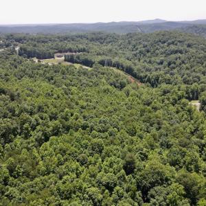 Photo #14 of SOLD property in Off Daniels Creek Rd, Collinsville, VA 104.4 acres