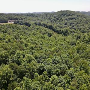 Photo #15 of SOLD property in Off Daniels Creek Rd, Collinsville, VA 104.4 acres