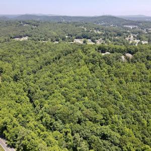 Photo #2 of SOLD property in Off Daniels Creek Rd, Collinsville, VA 104.4 acres