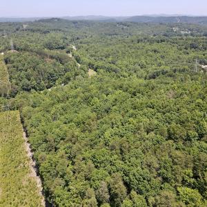 Photo #3 of SOLD property in Off Daniels Creek Rd, Collinsville, VA 104.4 acres