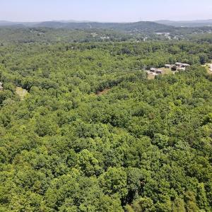 Photo #5 of SOLD property in Off Daniels Creek Rd, Collinsville, VA 104.4 acres