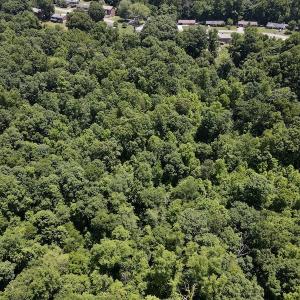 Photo #6 of SOLD property in Off Daniels Creek Rd, Collinsville, VA 104.4 acres