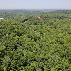 Photo #7 of SOLD property in Off Daniels Creek Rd, Collinsville, VA 104.4 acres